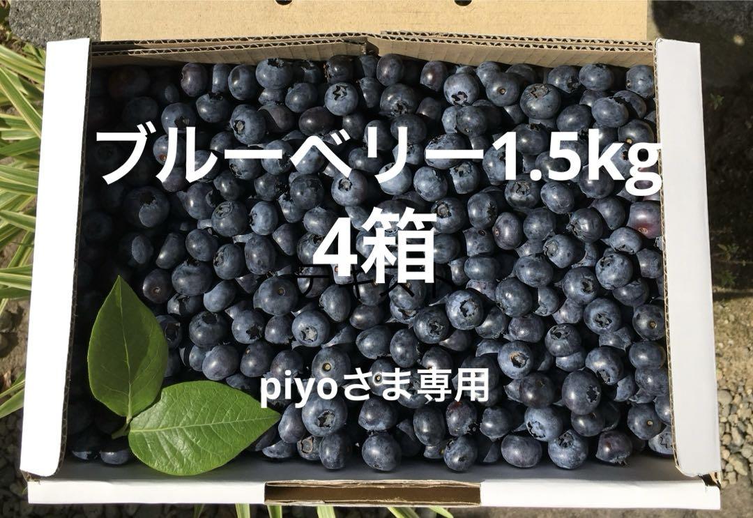 ブルーベリー1.5kgバラ詰め4箱