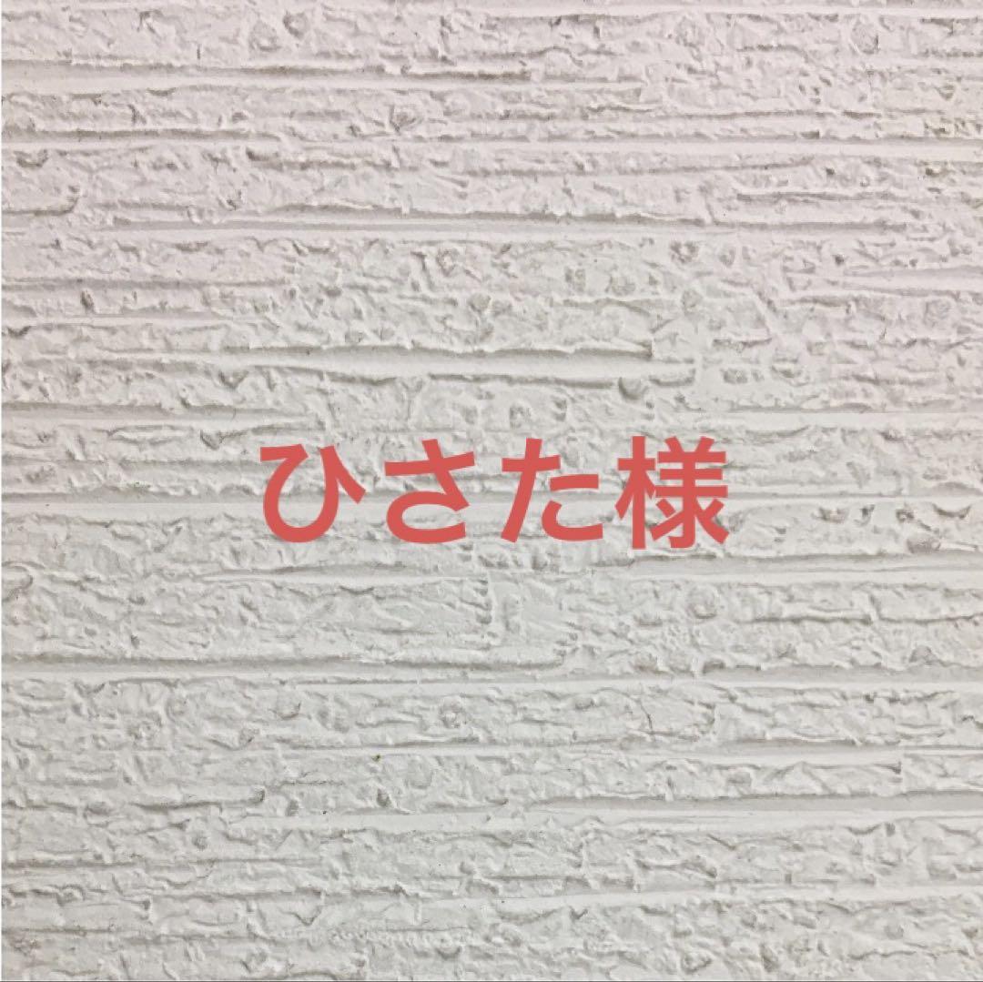 アダルトラム15キロ