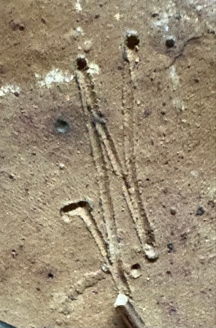 凡才傷や汚れあり