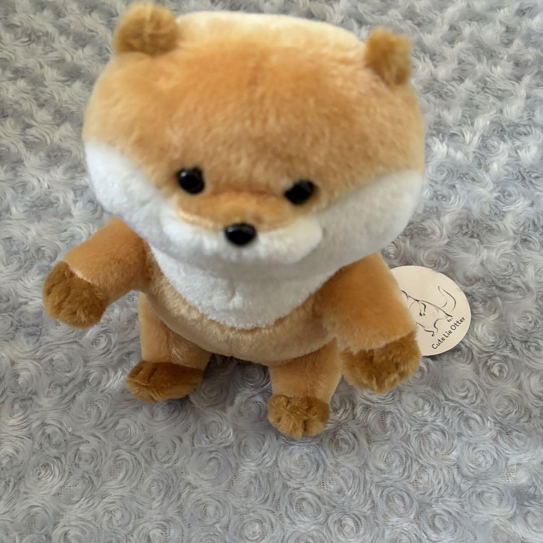 Amazon.co.jp: 可愛い嘘のカワウソ ぬいぐるみセット27体 : おもちゃ