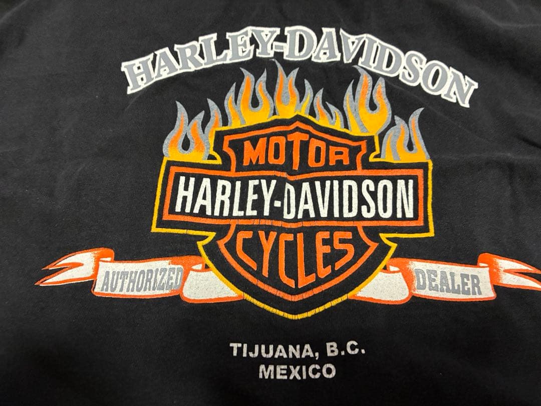 Vintage ハーレー　ロンT フレイム　 00s XXL