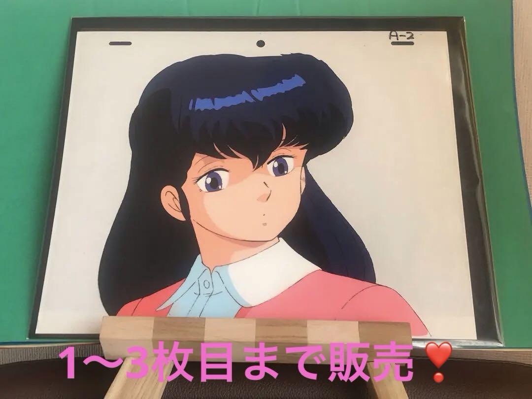 アニメキャラクター セル画 A4サイズ　音無響子　高橋留美子　裏面おまけ兎人参化