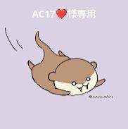 AC17❤️様専用まとめ売り