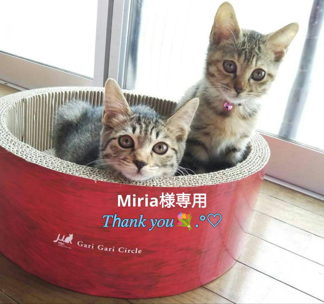 シーグラスアート キノコからぴょこん一緒に遊ぼっ*