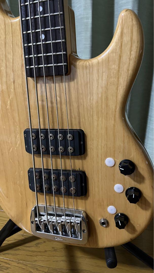 G&L L2500