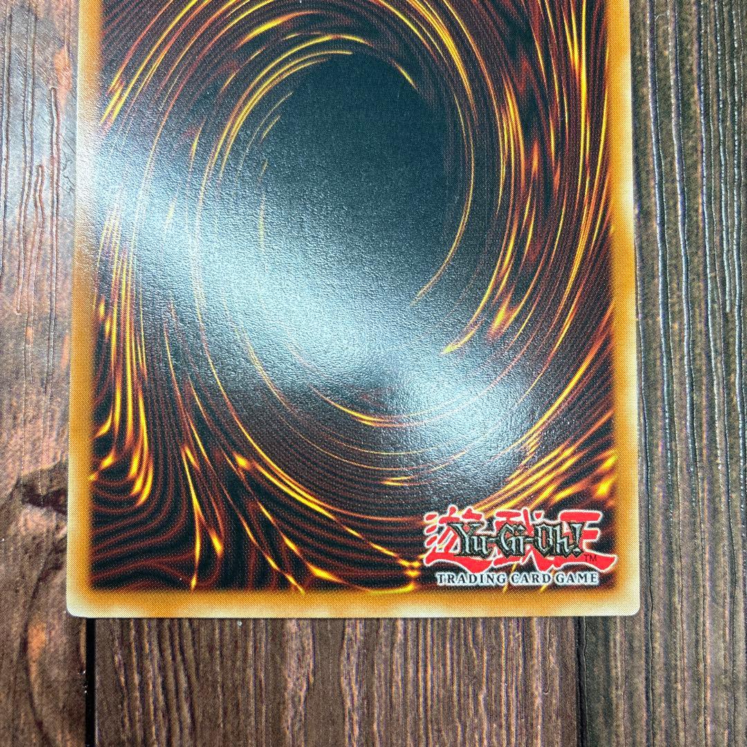 遊戯王 英語版 ハーピィズペット仔竜 レリーフ 遊戯王 英語版 ハーピィズペット仔竜 レリーフ