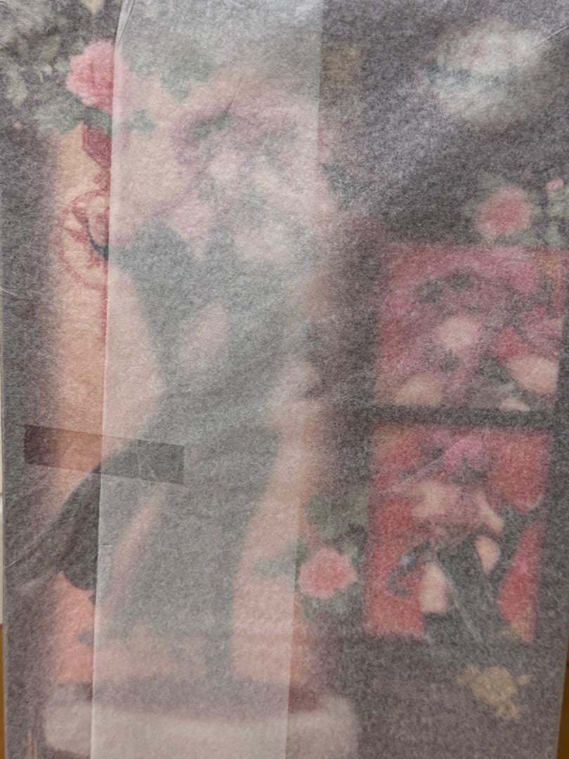 ALTER ブレマートン　アクションクルーズVer.