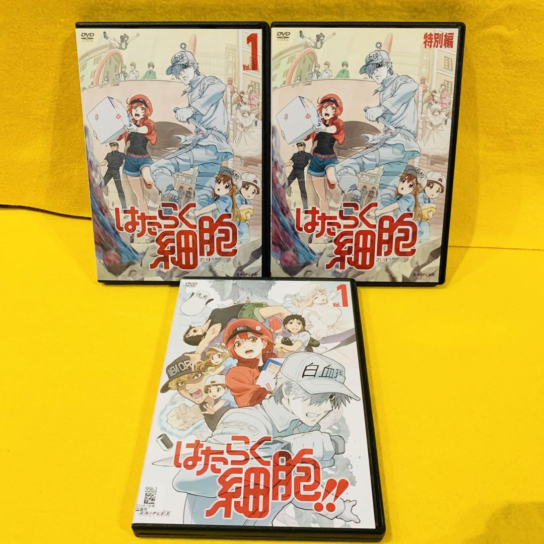 はたらく細胞 1期 2期 特別編 DVD 全12巻セット