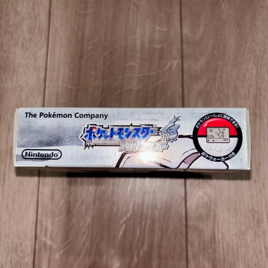 ポケウォーカーNintendo DS