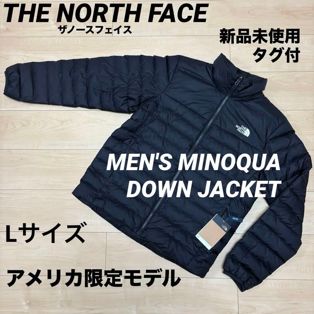 アメリカ THE NORTH FACEダウンジャケット 高耐久撥水加工L THE NORTH FACE