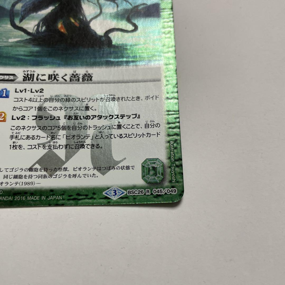 湖に咲く薔薇 R BSC26-045 3枚セット