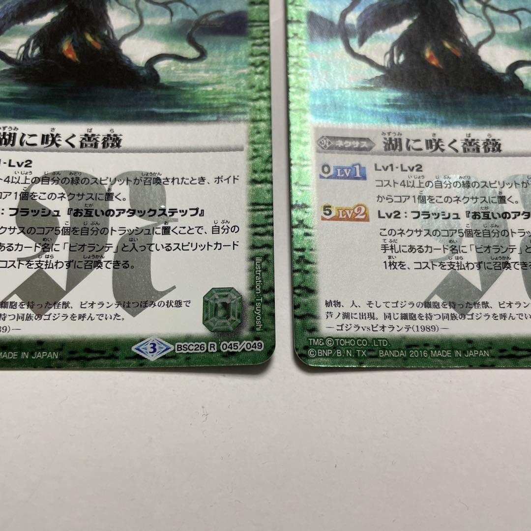 湖に咲く薔薇 R BSC26-045 3枚セット