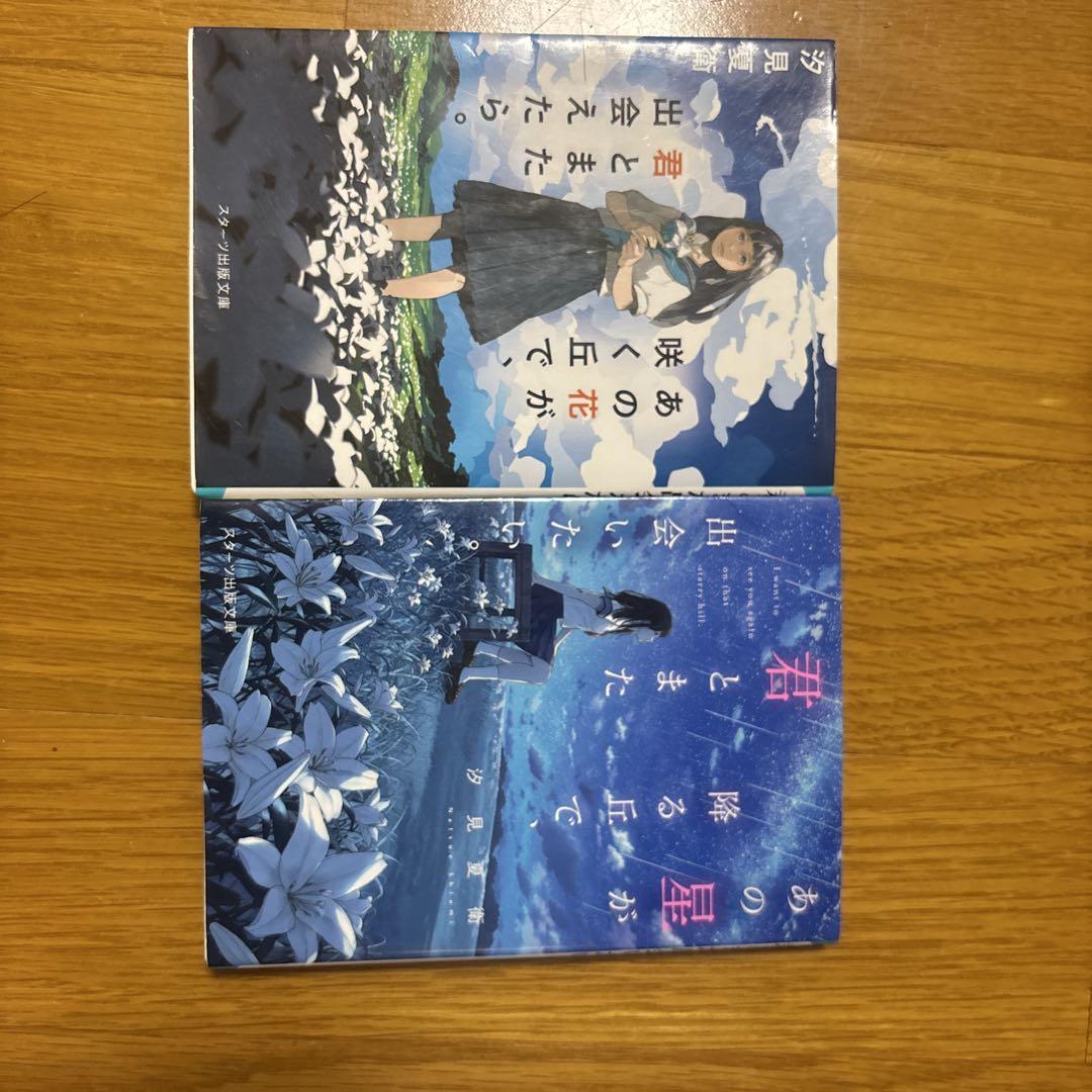 【メルカリ高値が部屋から発見！】『少女物語(1995)』【少女は時代で色褪せず】 メルカリ高値が部屋から発見！】『少女物語(1995)』【少女は時代