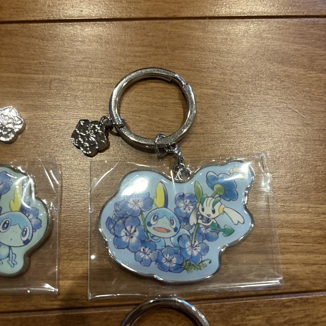 タイムセール!激レア!Baby Blue Eyes コレクション タイムセール!激レア!Baby Blue Eyes コレクション