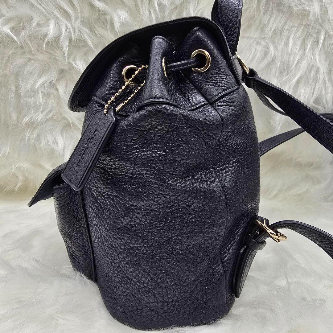 ✨美品✨COACH コーチ レザー 巾着 ミニ リュック F37621