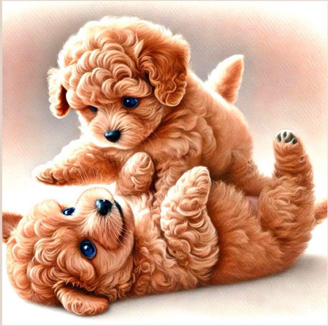 A5：オーダー用パネル生地確認ページ