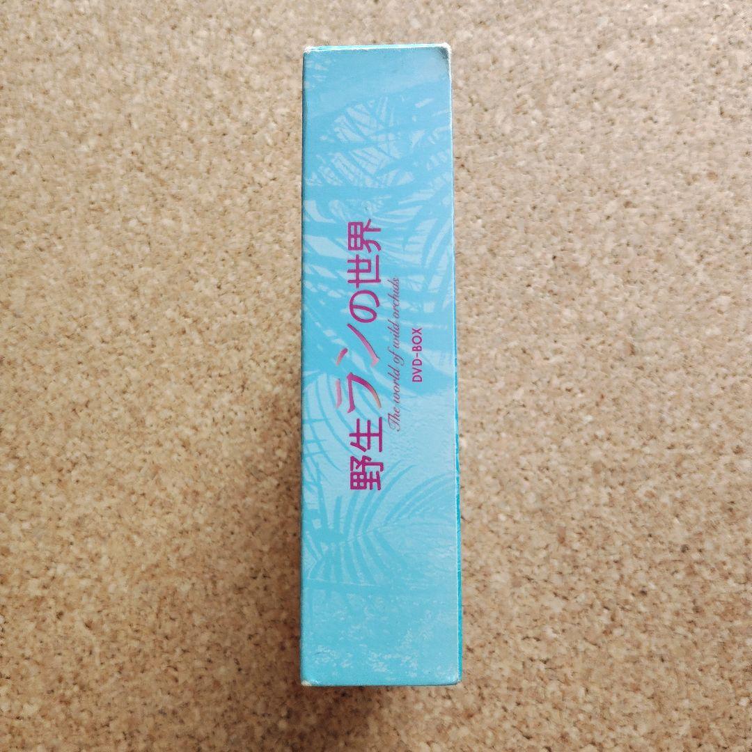 野生ランの世界 DVD-BOX〈2枚組〉 野生ランの世界 DVD-BOX〈2枚組〉 - メルカリ