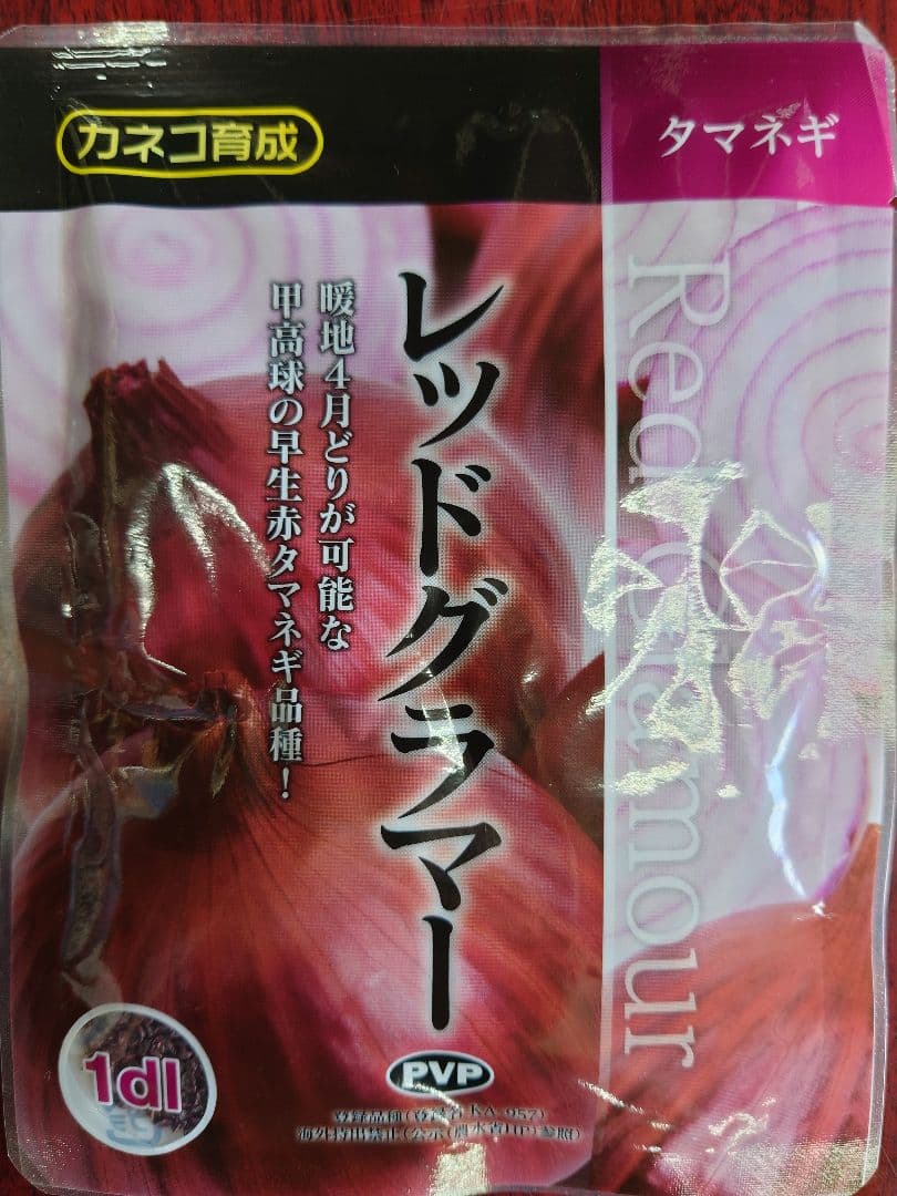 野菜苗 玉葱苗やや傷や汚れあり