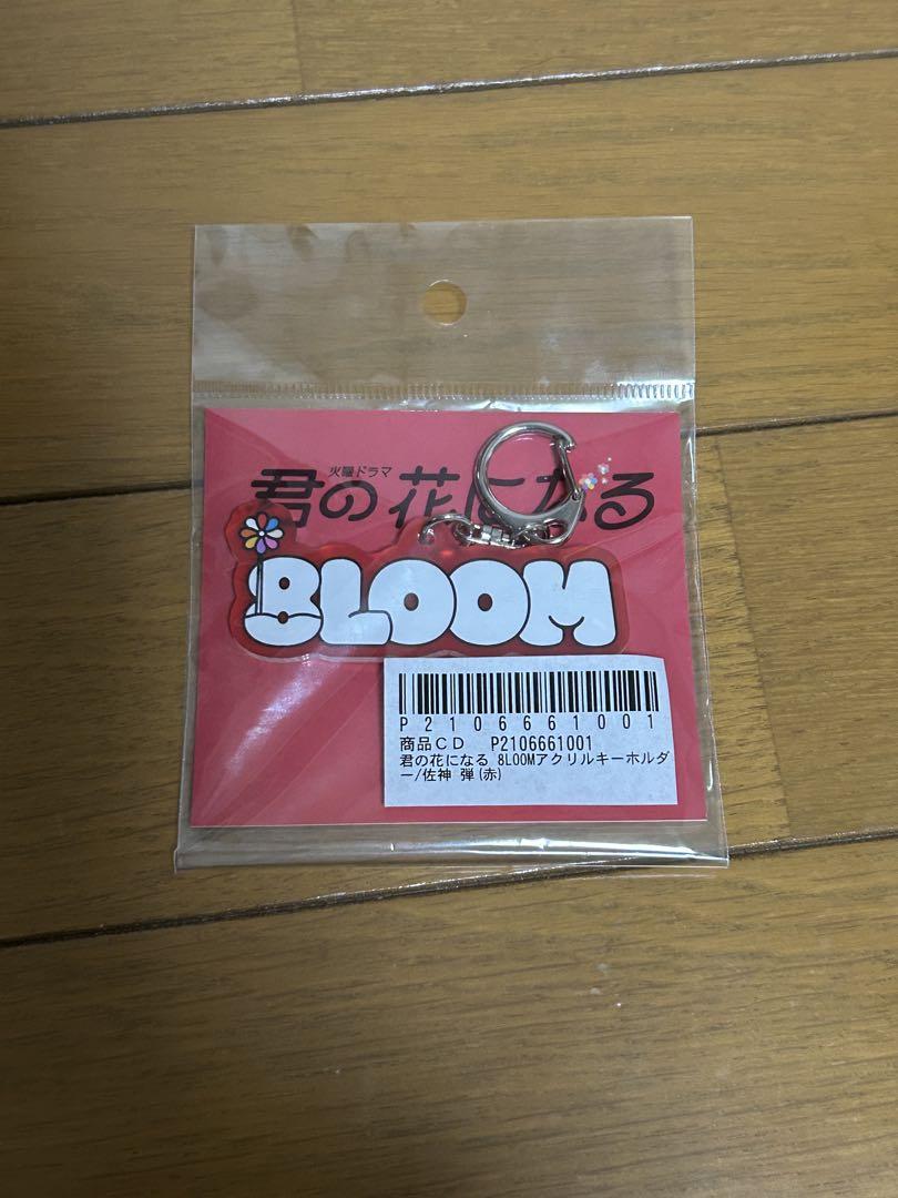 Amazon.co.jp: 8LOOM トレーディングアクリルキーホルダー 佐神