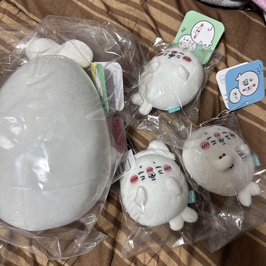 ナガノの水族館 アザラシぬいぐるみくじ／C賞＋D賞コンプリート
