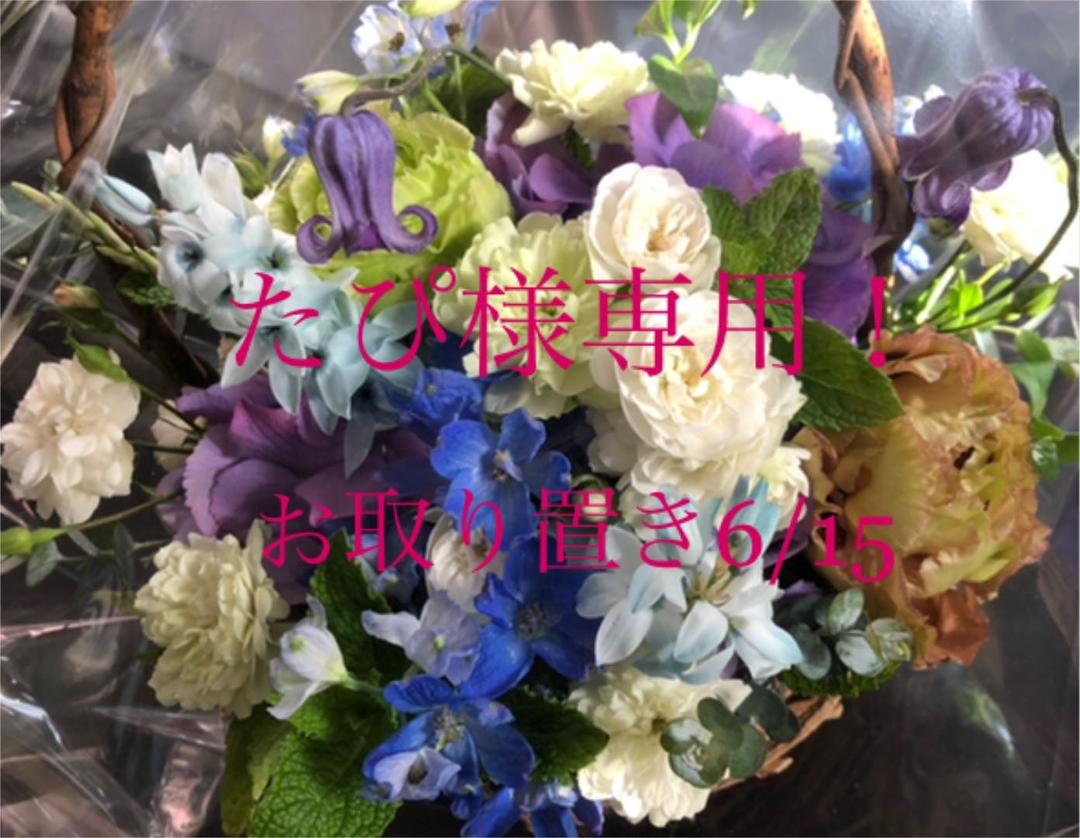 【人気ショップが最安値挑戦!】 たぴ様お取り置き❣️antiqua完売入手困難 ☆新品サロペットパンツ サロペット/オーバーオール 【人気ショップが最安値挑戦!】 たぴ様お取り置き❣️antiqua完売入手困難 ☆新品サロペットパンツ サロペット/オーバーオール