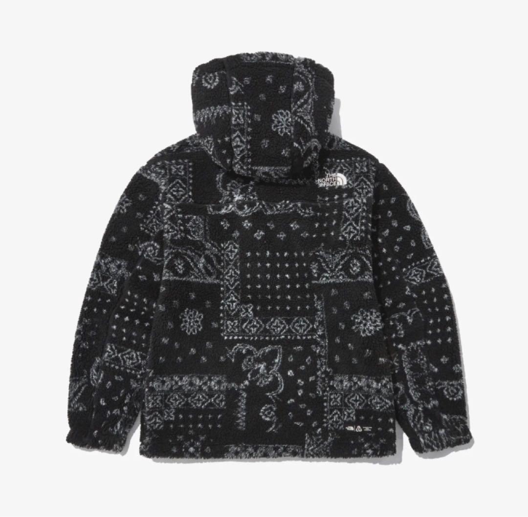 ノースフェイス ノベルティ PLAY GREEN FLEECE HOODIE 画像3