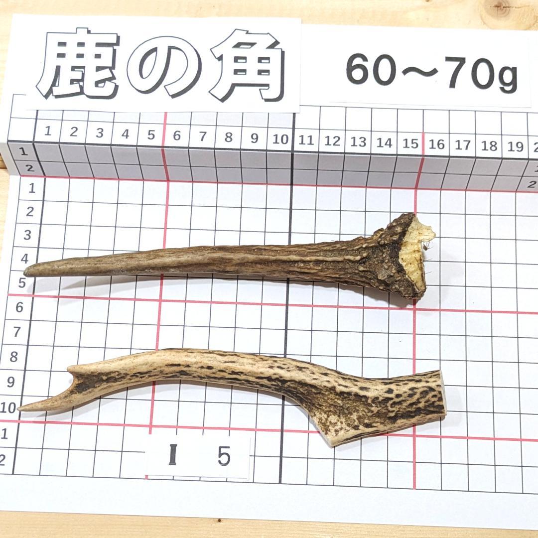 鹿の角 I5 2本セット 60～70g 兵庫県産 鹿角 鹿のツノ しかつの