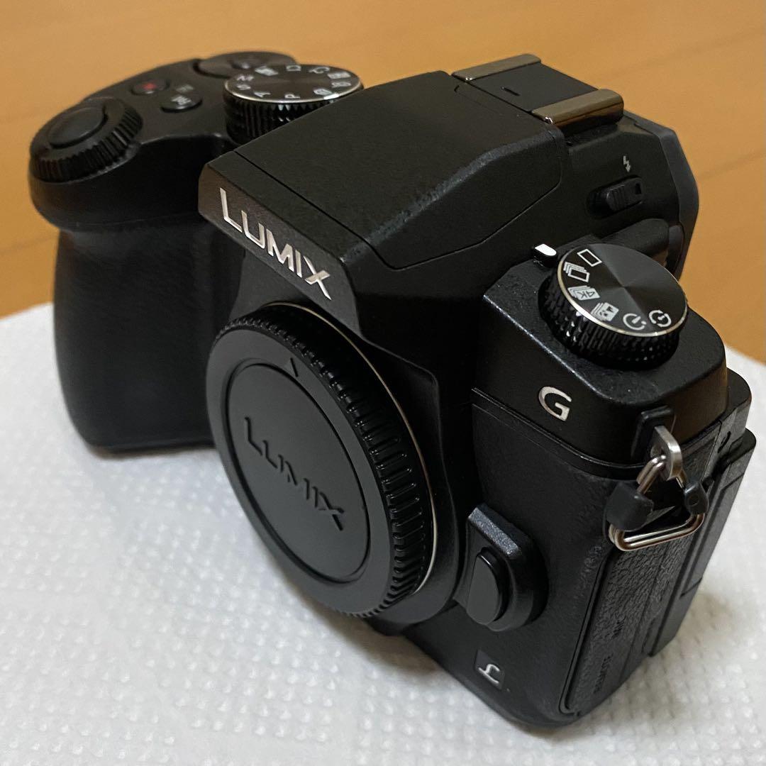 【撮影46枚 】Panasonic LUMIX DMC-G8M 美品