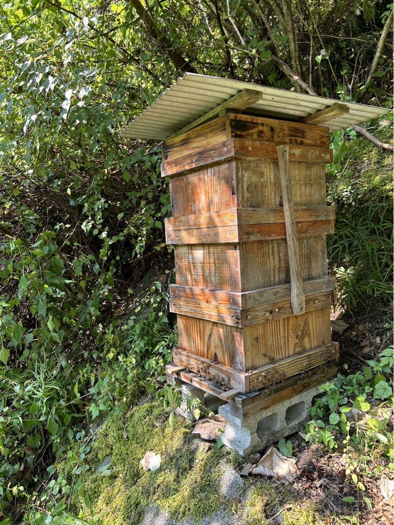 高知県産　百花蜜　食べ比べ　生はちみつ　無添加　非加熱　日本蜜蜂　純粋蜂蜜 高知県産 百花蜜 食べ比べ 生はちみつ 無添加 非加熱 日本蜜蜂