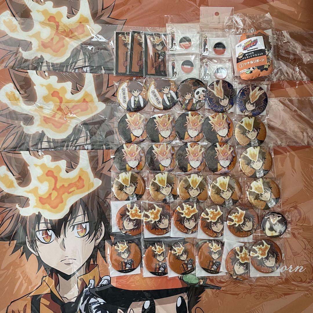 家庭教師ヒットマンREBORN 沢田綱吉 ツナ 缶バッジ 激推し