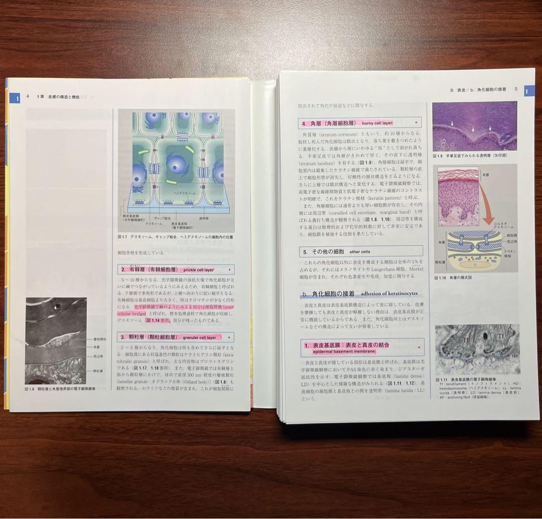 裁断済】あたらしい皮膚科学 第3版