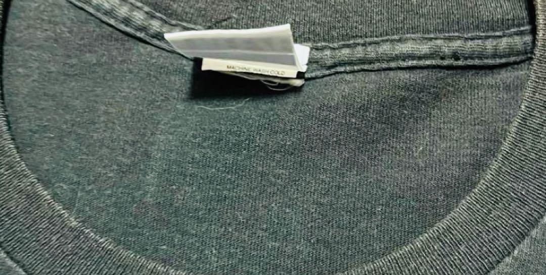 タイタニック　titanic tシャツ shirt freeze オフィシャル