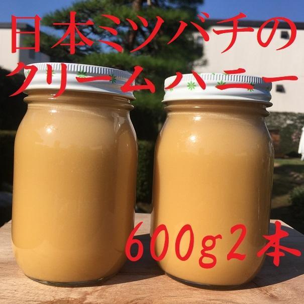 日本蜜蜂 純粋生 クリームハニー「非加熱、無添加、無調整 」上州産600g 2本