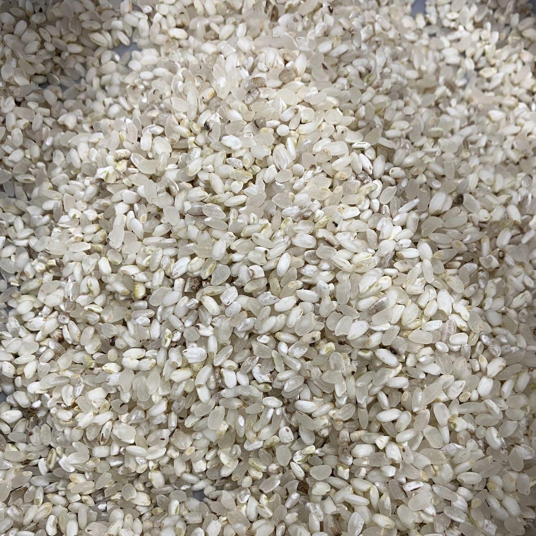 くず米 20kg R6年産 鳥のエサ 令和6年産 飼料用 肥料用 くず米 20kg クズ米 玄米 鳥のエサ