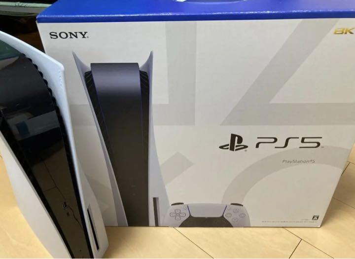 ホットセール - アートトラベルシューズ PS5 使用期間2週間 美品です その他