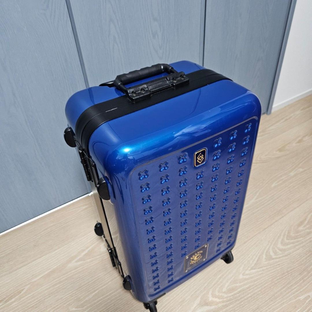 Fate / Grand Order × PROTEX Master Original Carry-on luggage