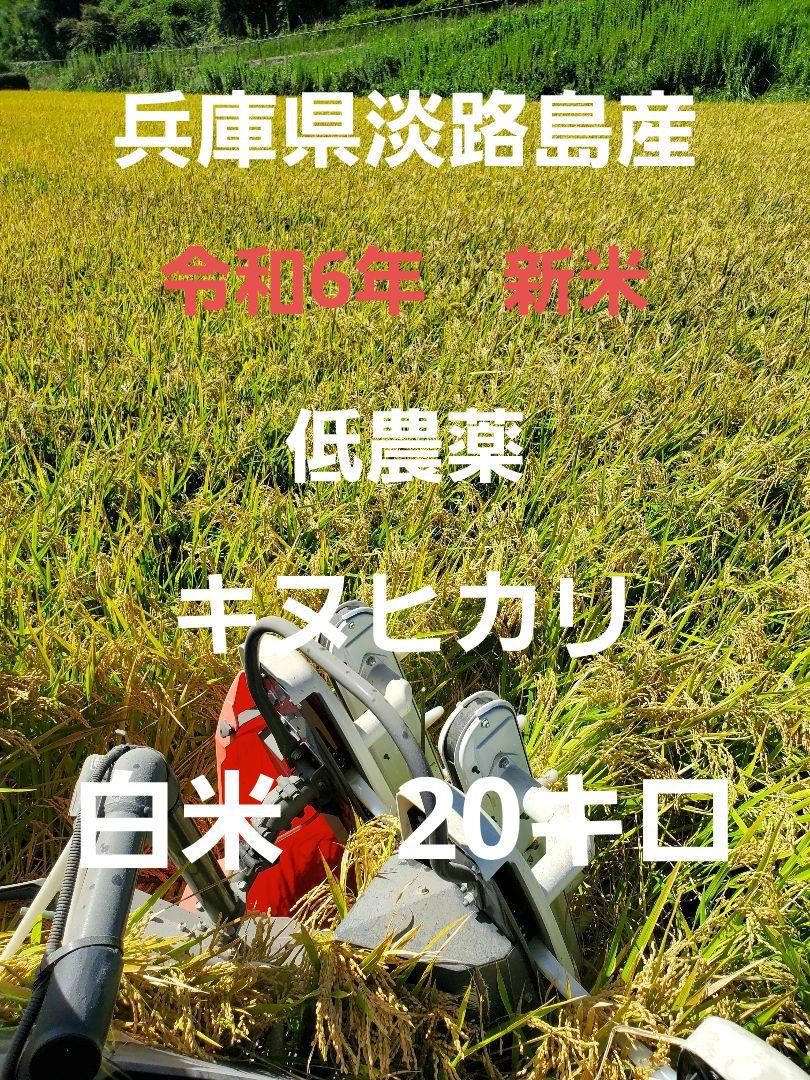 令和6年新米】兵庫県淡路島産キヌヒカリ精米後20キロ(低農薬