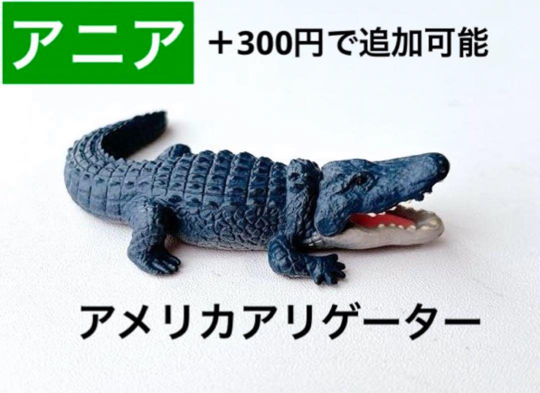アニア アメリカアリゲーター ワニ カプセルアニア 動物 恐竜
