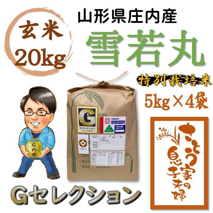 令和5年度古米 籾コシヒカリ25キロ1袋