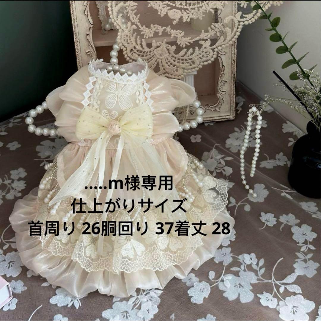 ....m様専用犬服　猫服　ハンドメイド　ワンピース　わんちゃん