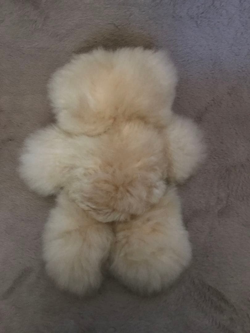 新品未使用 ふわふわ アルパカ テディベア (ペルー直輸入) ぬいぐるみ