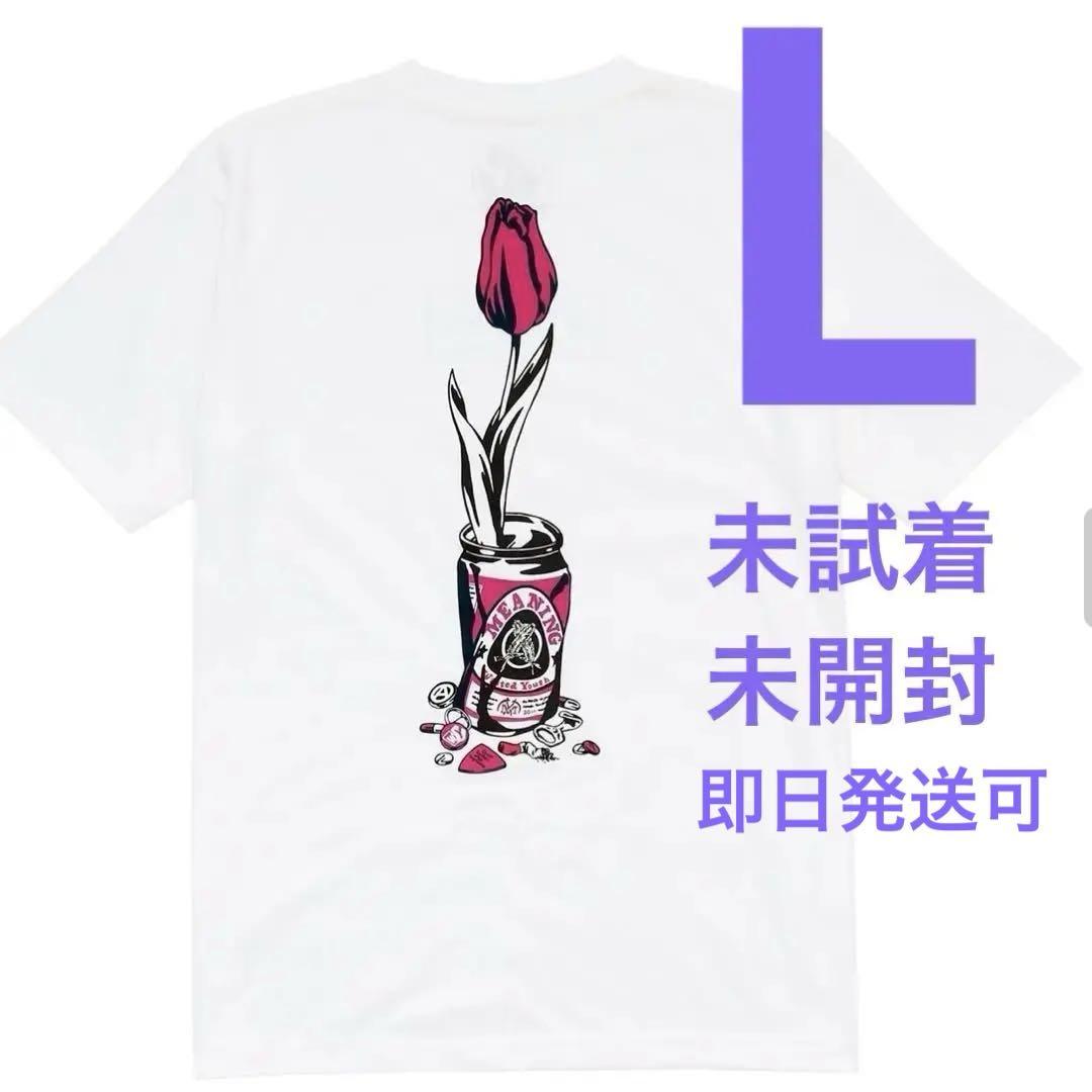 wasted youth MEANING ロゴ Tシャツ