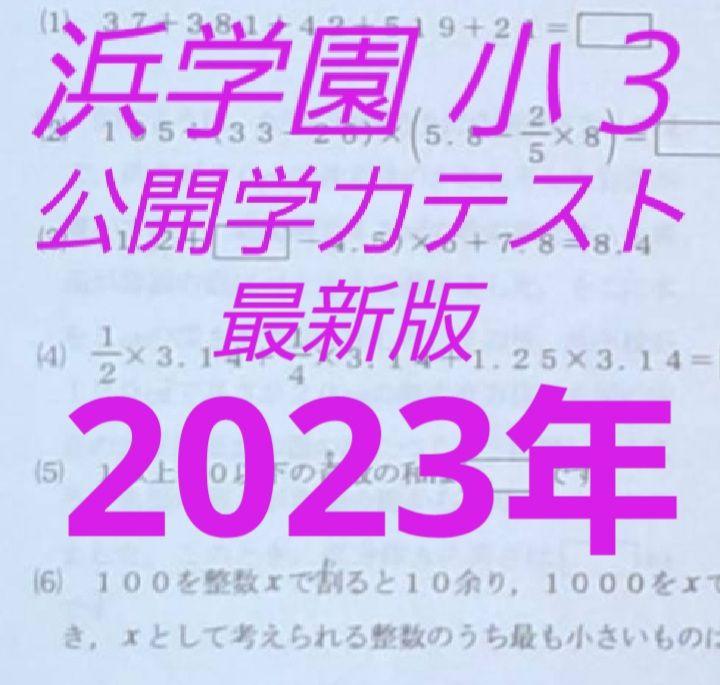 浜学園　小５　最新版　2023年～2016年　公開学力テスト　8年分　３教科 浜学園小5最新版2023年～2016年公開学力テスト8年分3教科