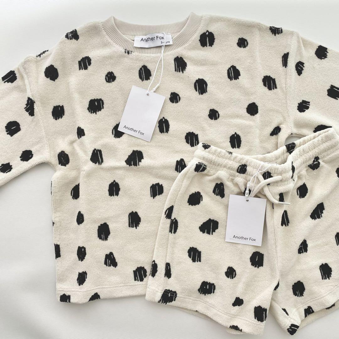 Another fox セットアップ 3-4y