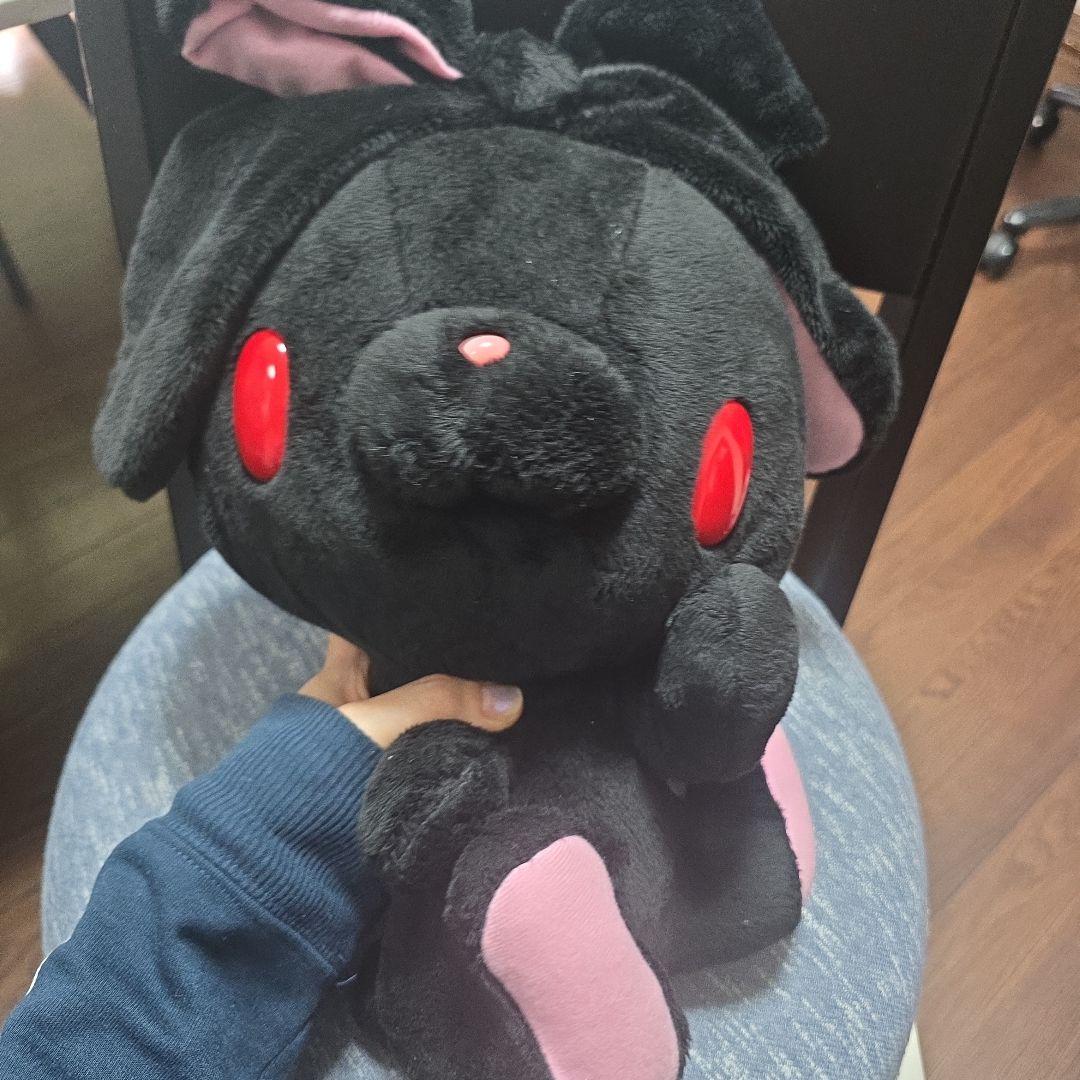 汎用うさぎ 2種セット