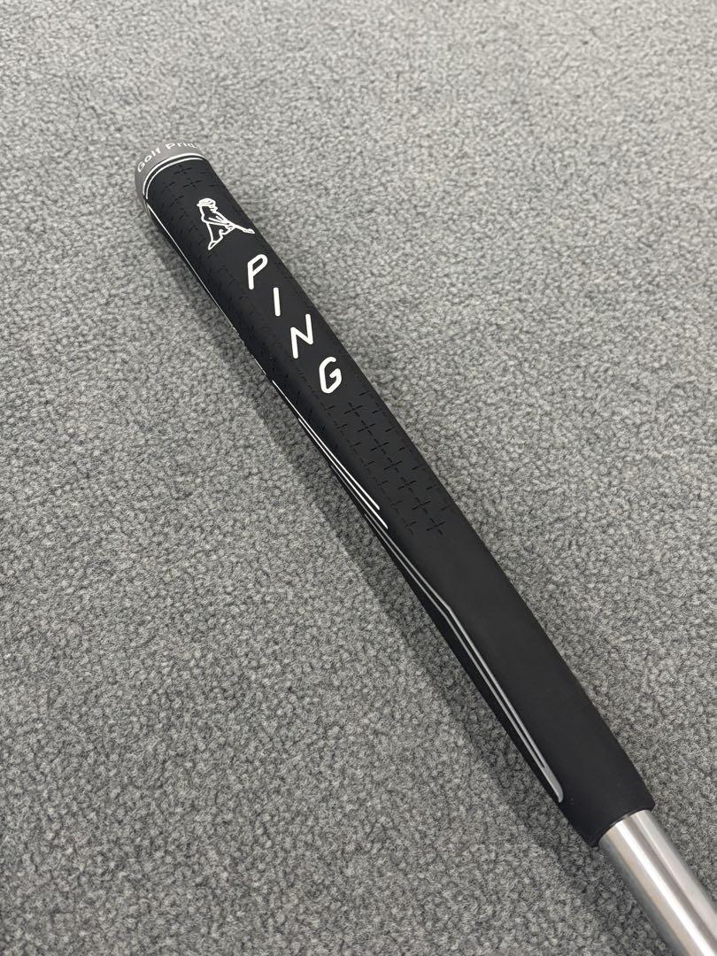 PING DS72