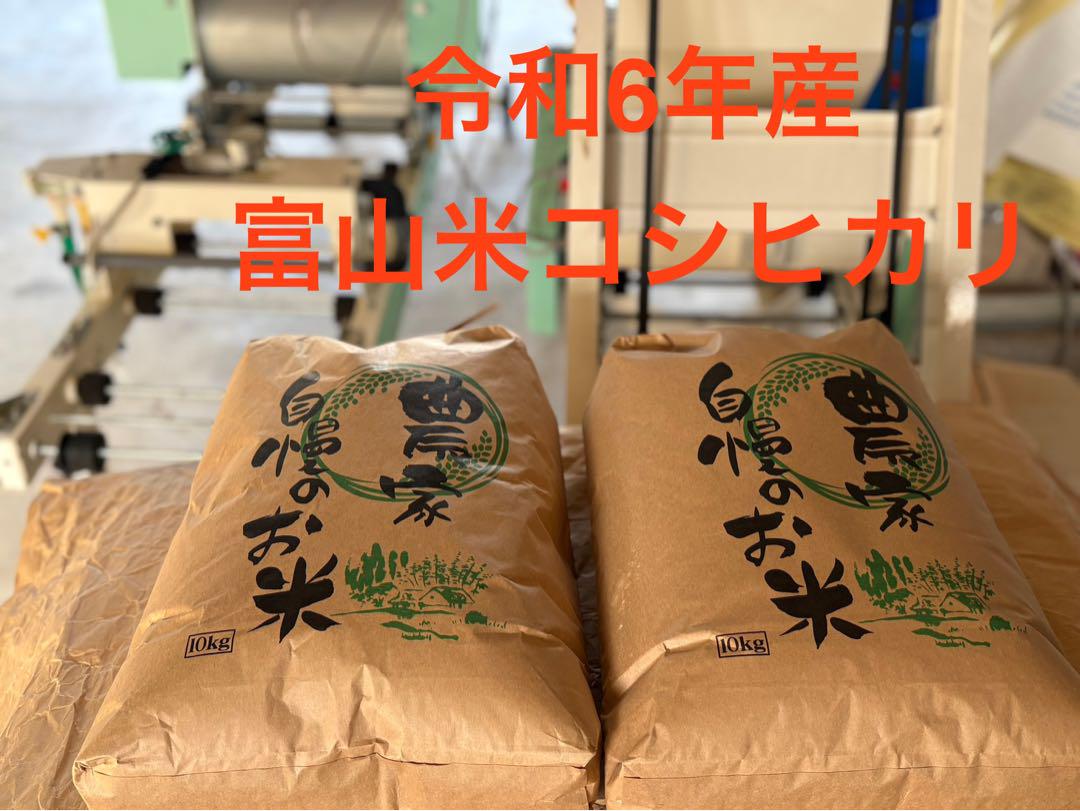 富山米コシヒカリ 10kg 玄米