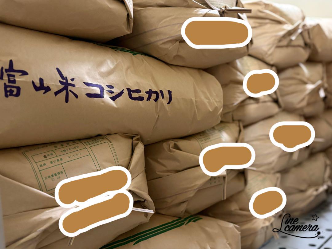 富山米コシヒカリ 10kg 玄米