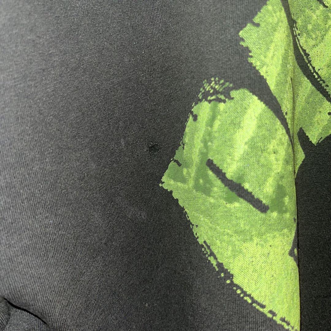当時物 レア 希少 90s Pantera Tシャツ greatland