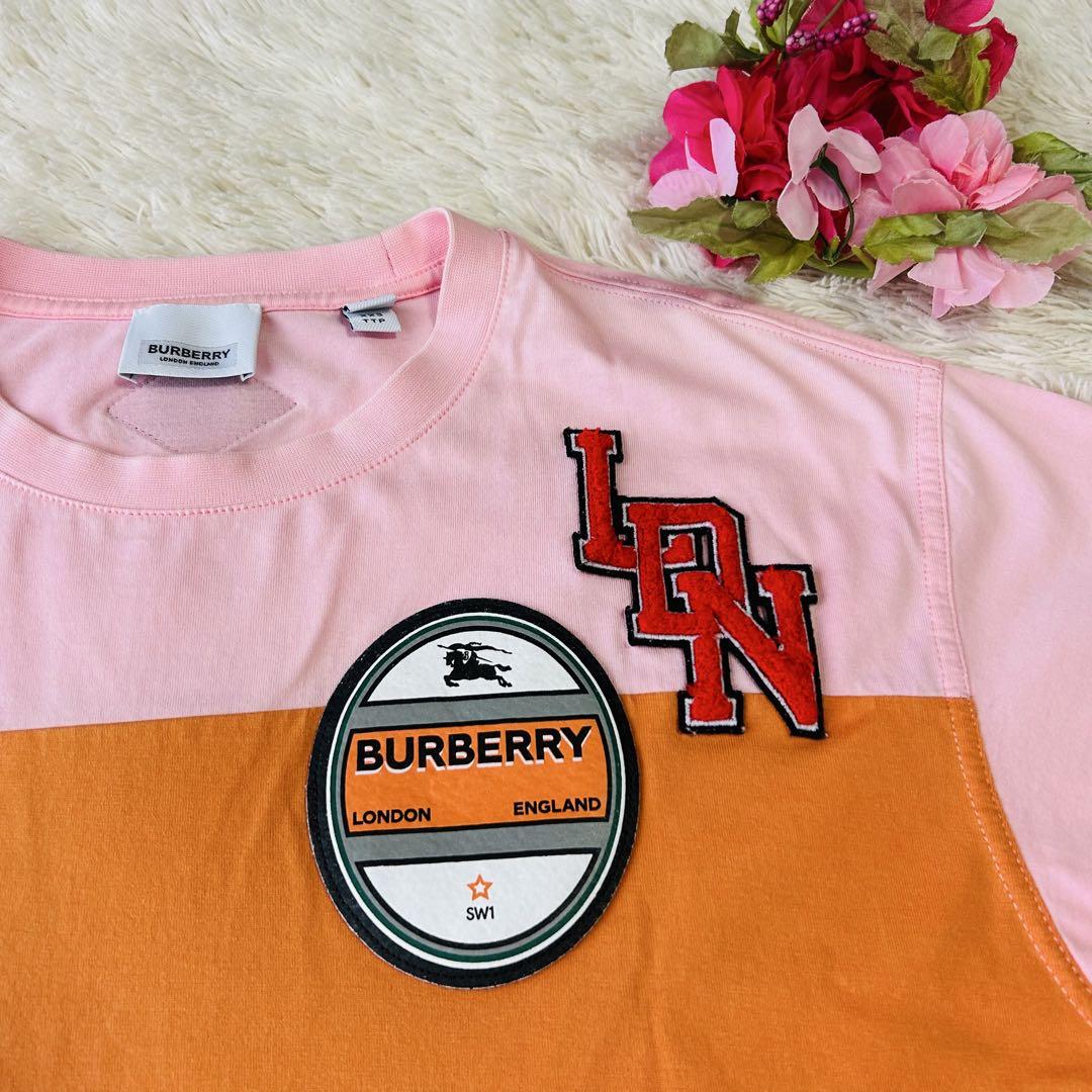 Burberry Tシャツ ホースロゴ　TB ワッペン刺繍ボーダーサイズXS相当